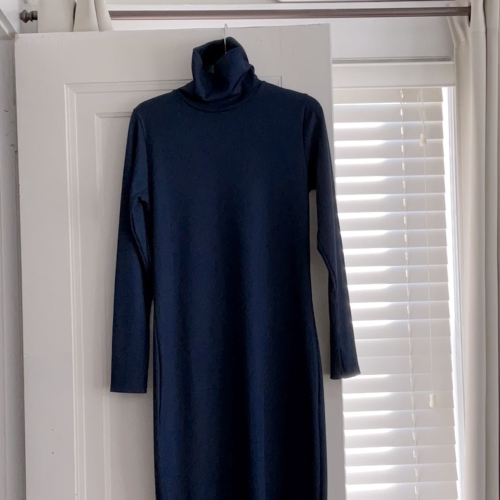 ZARA Turtleneck Dress (new without tags)